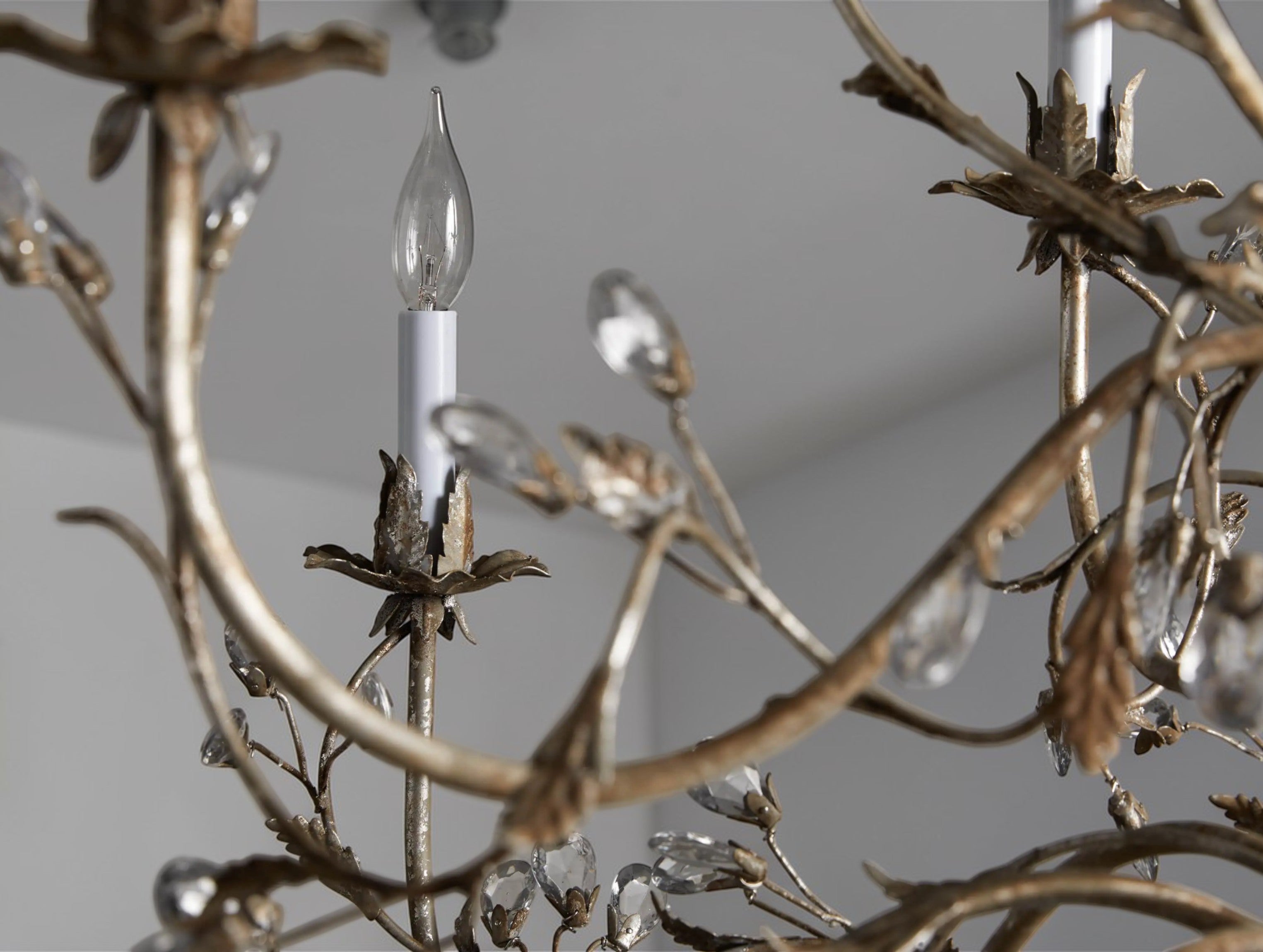 Celestine Chandelier
