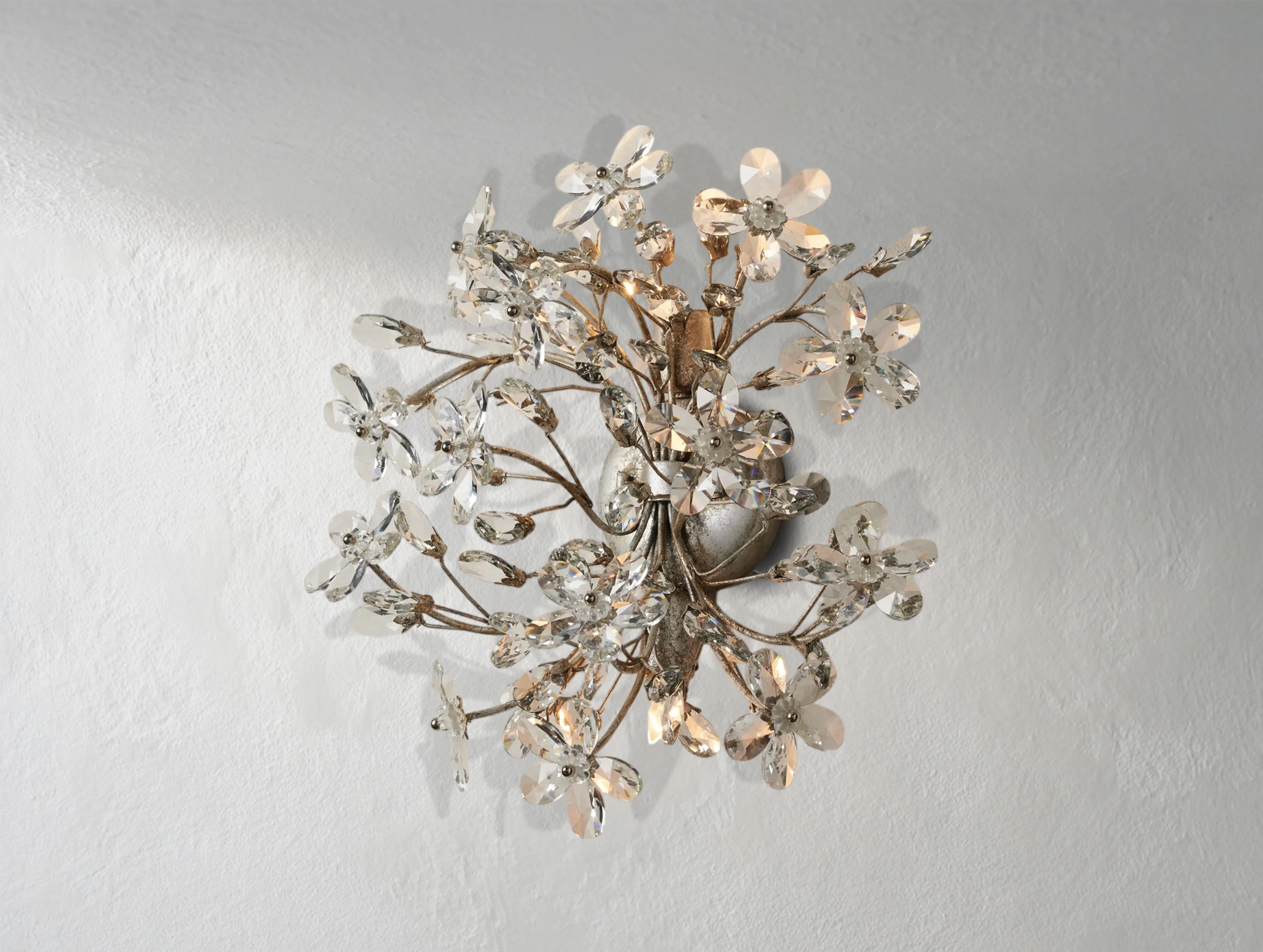 Fiona Sconce