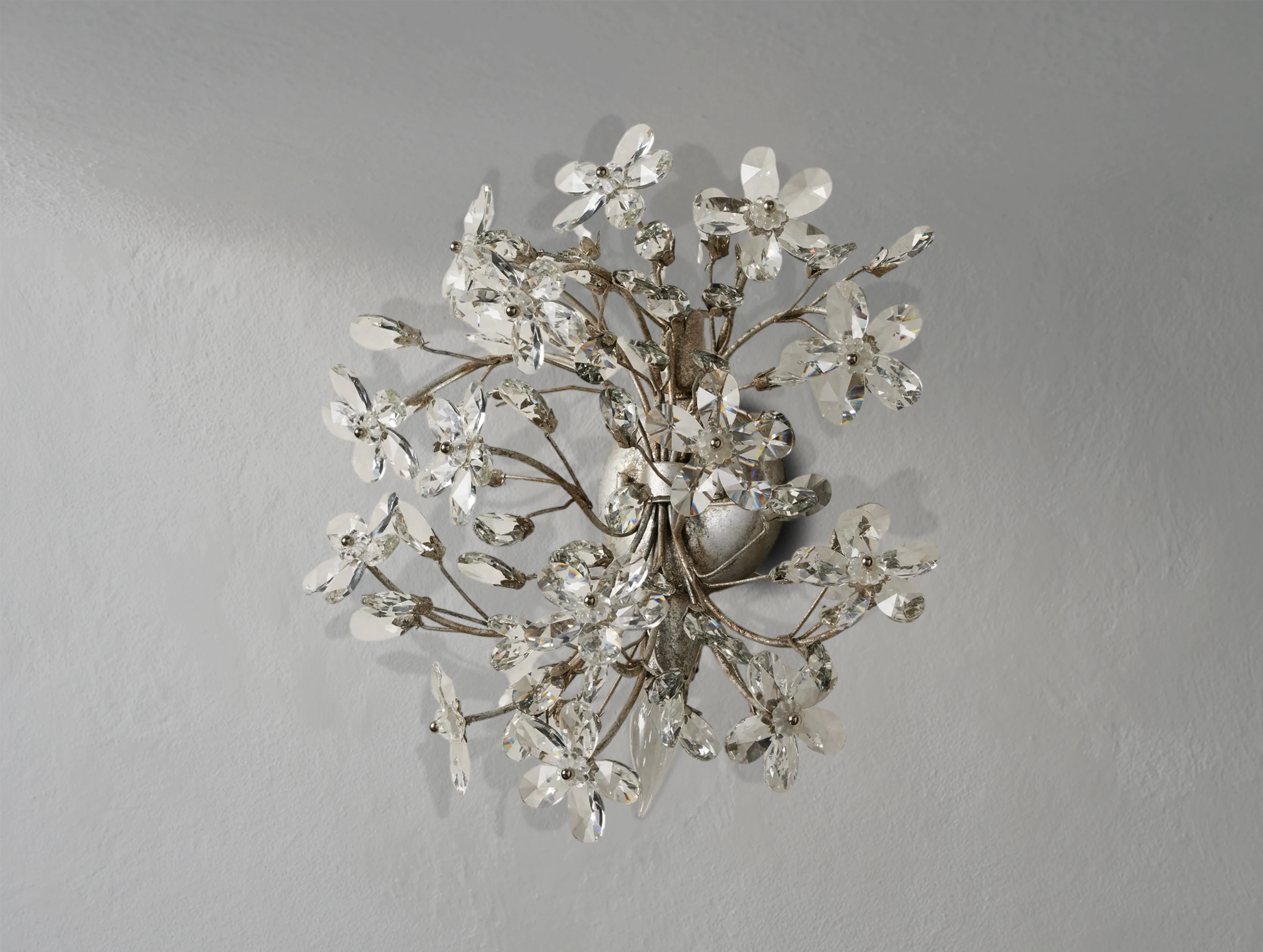 Fiona Sconce