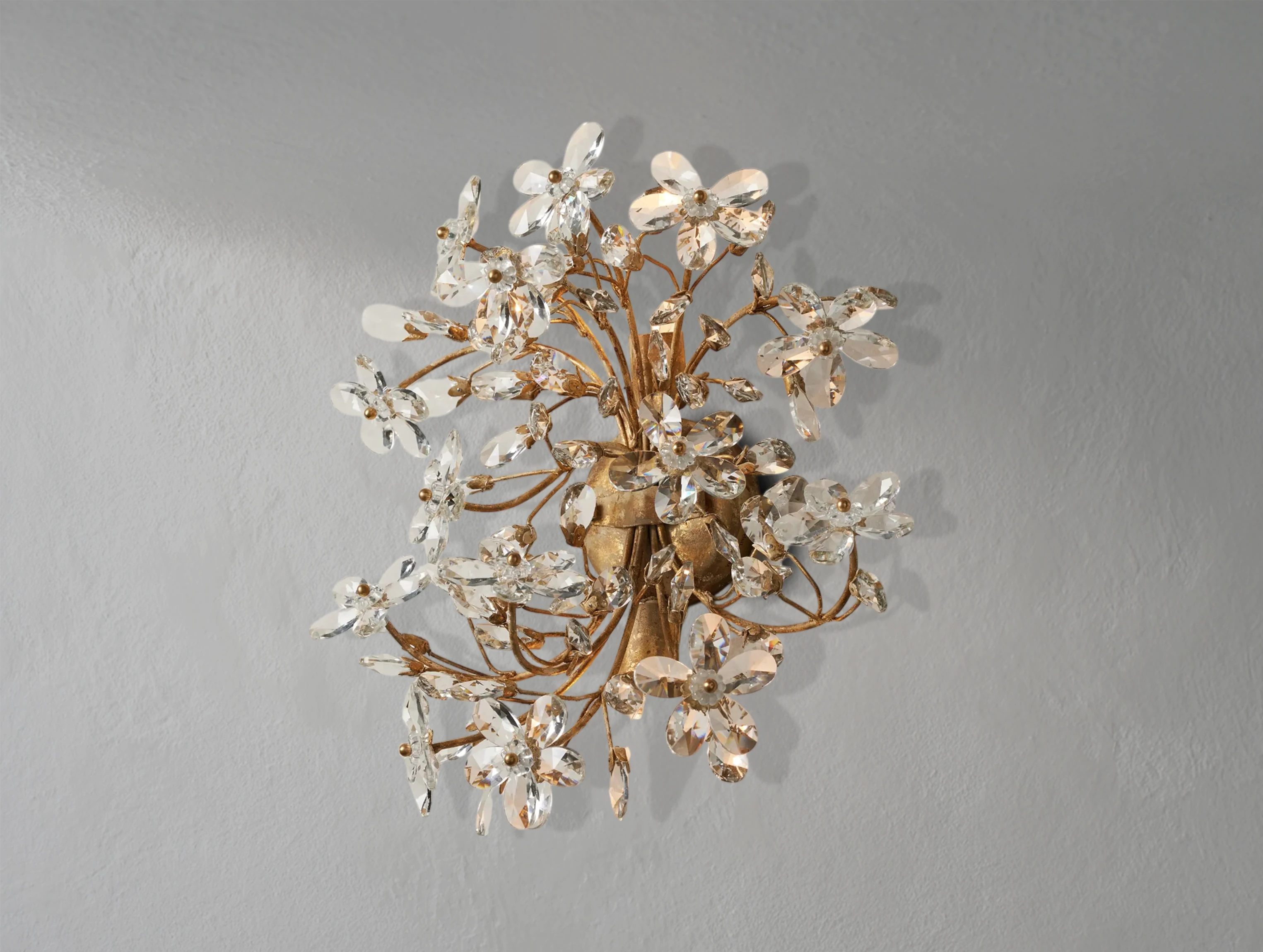 Fiona Sconce