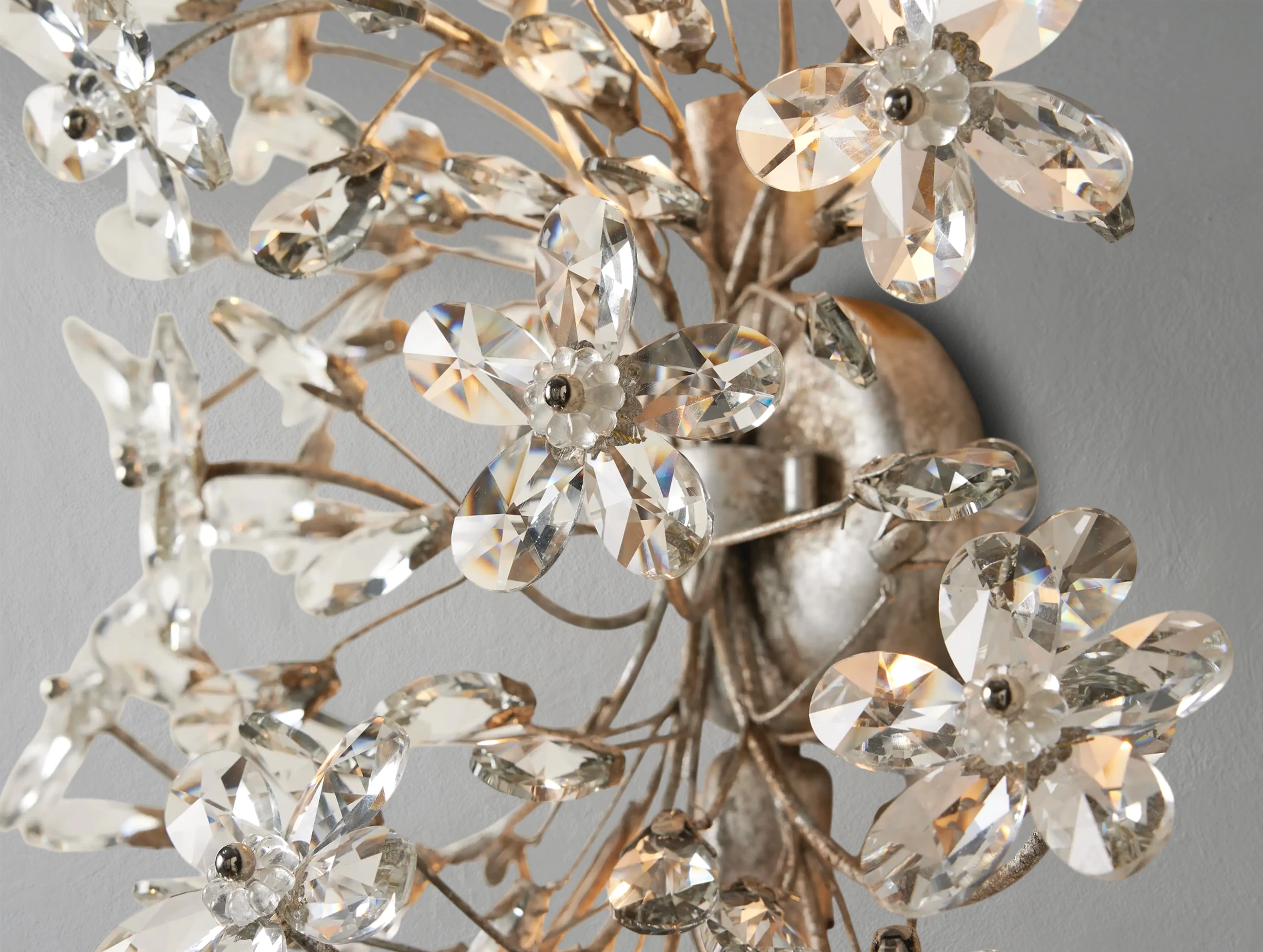 Fiona Sconce