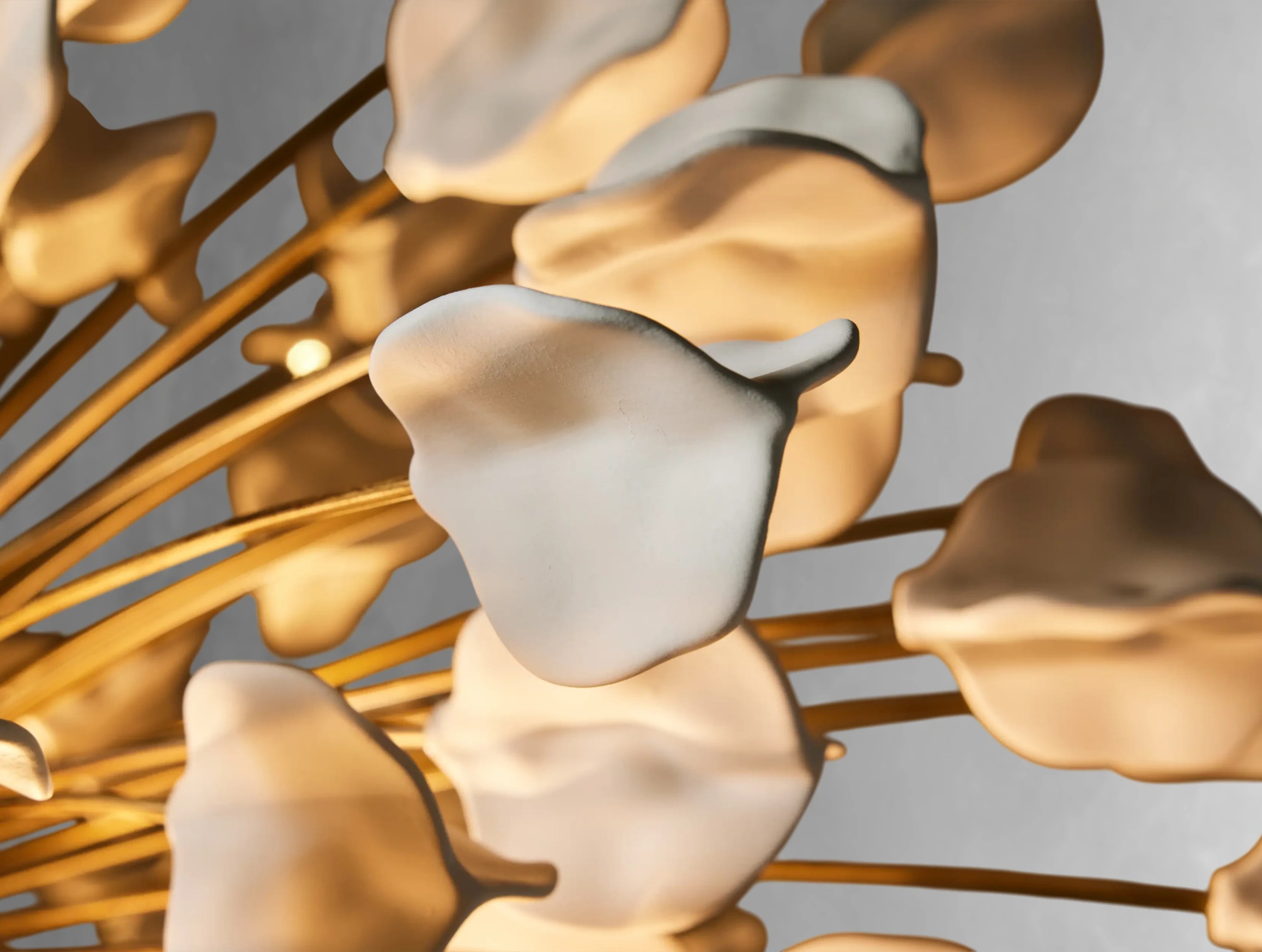 Floralis Chandelier
